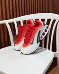 Calzado , 5 pares